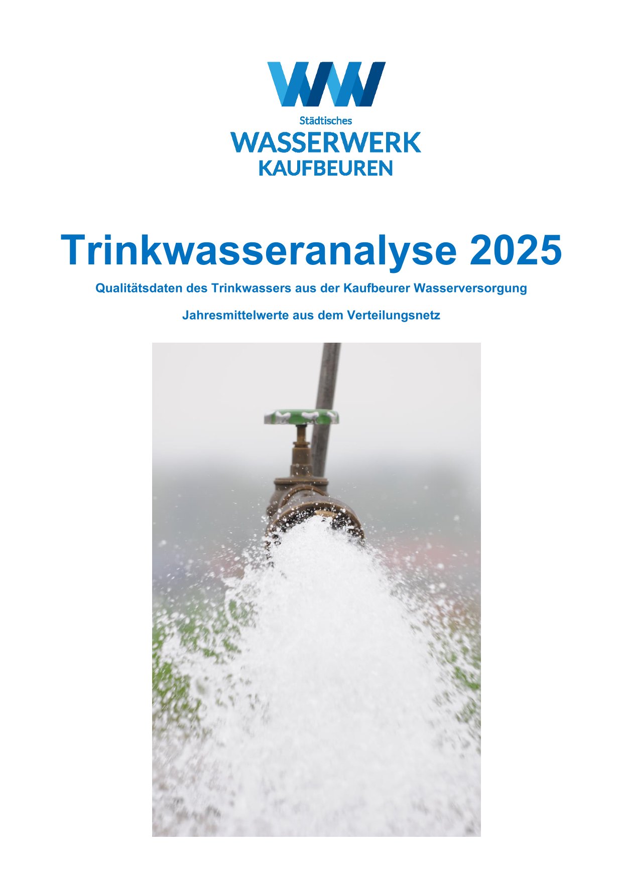 Trinkwasseranalyse 2025